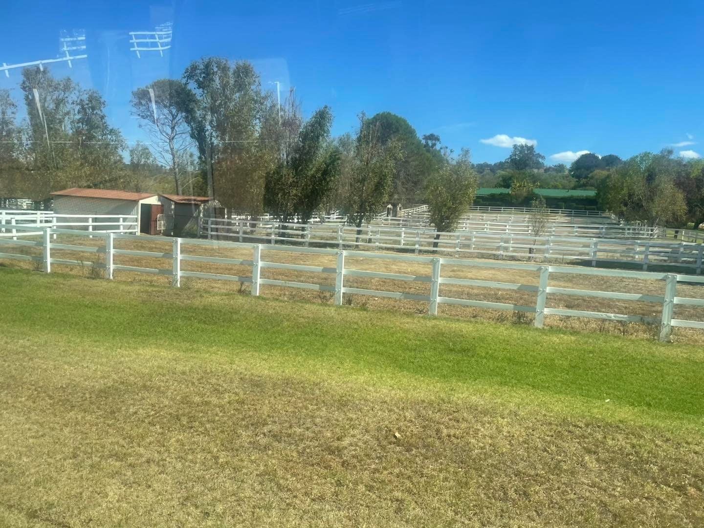 Dubbo Zoo 2025 Image -67de04852cb11